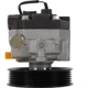 Purchase Top-Quality MAVAL - 96475MN - Power Steering Pump pa6