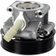 Purchase Top-Quality MOTORCRAFT - STP346 - Power Steering Pump pa1