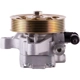 Purchase Top-Quality PWR STEER - 60-5017P - Steering Power Steering Pump pa1