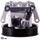 Purchase Top-Quality PWR STEER - 60-5019P - Steering Power Steering Pump pa1