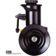 Purchase Top-Quality PWR STEER - 60-5044PR - Steering Power Steering Pump pa1