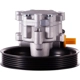 Purchase Top-Quality PWR STEER - 60-5163P - Steering Power Steering Pump pa2