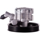 Purchase Top-Quality PWR STEER - 60-5163P - Steering Power Steering Pump pa4