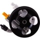 Purchase Top-Quality PWR STEER - 60-5179P - Steering Power Steering Pump pa3