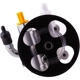 Purchase Top-Quality PWR STEER - 60-5190P - Steering Power Steering Pump pa3
