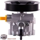 Purchase Top-Quality New Power Steering Pump by PWR STEER - 60-5347P pa1