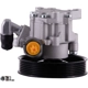 Purchase Top-Quality PWR STEER - 60-5378P - Steering Power Steering Pump pa1