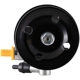 Purchase Top-Quality New Power Steering Pump by PWR STEER - 60-5446P pa4