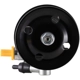 Purchase Top-Quality PWR STEER - 60-5446P - Steering Power Steering Pump pa4