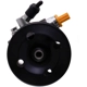 Purchase Top-Quality New Power Steering Pump by PWR STEER - 60-5975P pa1