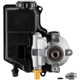 Purchase Top-Quality New Power Steering Pump by PWR STEER - 60-6749R pa1