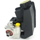Purchase Top-Quality SKP - SK2038771 - New Power Steering Pump pa3