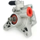 Purchase Top-Quality SKP - SK215267 - New Power Steering Pump pa3
