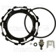 Purchase Top-Quality New Pressure Regulator by BLUE STREAK (HYGRADE MOTOR) - PR575 pa2
