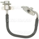 Purchase Top-Quality New Pressure Regulator by BLUE STREAK (HYGRADE MOTOR) - PR496 pa2