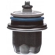 Purchase Top-Quality New Pressure Regulator by DELPHI - FP10021 pa40