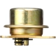 Purchase Top-Quality New Pressure Regulator by DELPHI - FP10391 pa1