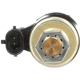 Purchase Top-Quality New Pressure Regulator by DELPHI - HTF101 pa25