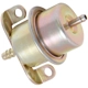 Purchase Top-Quality WALKER PRODUCTS - 255-1002 - Fuel Injection Pressure Regulator pa1