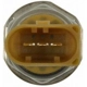 Purchase Top-Quality New Pressure Sensor by BLUE STREAK (HYGRADE MOTOR) - FPS58 pa6