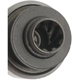 Purchase Top-Quality BLUE STREAK (HYGRADE MOTOR) - SDN231 - Starter Drive pa2