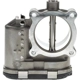 Purchase Top-Quality New Throttle Body by BLUE STREAK (HYGRADE MOTOR) - S20509 pa1