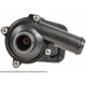 Purchase Top-Quality New Water Pump by CARDONE INDUSTRIES - 5W6003 pa2