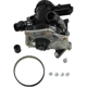 Purchase Top-Quality CRP/REIN - WPL0057 - Water Pump pa3