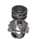 Purchase Top-Quality New Water Pump by CRP/REIN - WPR0047 pa1