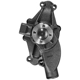 Purchase Top-Quality DAYCO - DP1121 - Engine Coolant Water Pump pa2