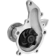 Purchase Top-Quality New Water Pump by DAYCO - DP1461 pa4