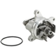 Purchase Top-Quality DAYCO - DP1501 - New Water Pump pa4