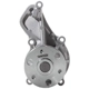 Purchase Top-Quality DAYCO - DP1896 - New Water Pump pa3