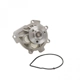Purchase Top-Quality DAYCO - DP191 - New Water Pump pa5