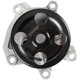 Purchase Top-Quality DAYCO - DP769 - Engine Coolant Water Pump pa4