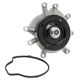 Purchase Top-Quality DAYCO - DP962 - New Water Pump pa6