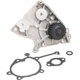 Purchase Top-Quality New Water Pump by DAYCO - DP066 pa3