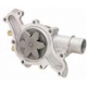 Purchase Top-Quality New Water Pump by DAYCO - DP1006 pa4