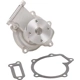 Purchase Top-Quality New Water Pump by DAYCO - DP1007 pa1