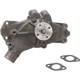 Purchase Top-Quality New Water Pump by DAYCO - DP1011 pa2