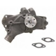 Purchase Top-Quality New Water Pump by DAYCO - DP1011 pa8