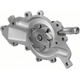 Purchase Top-Quality New Water Pump by DAYCO - DP1024 pa4