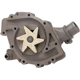 Purchase Top-Quality New Water Pump by DAYCO - DP1031 pa2