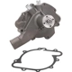 Purchase Top-Quality New Water Pump by DAYCO - DP1071 pa1