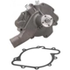 Purchase Top-Quality New Water Pump by DAYCO - DP1071 pa3