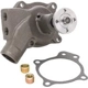 Purchase Top-Quality New Water Pump by DAYCO - DP1107 pa2