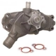 Purchase Top-Quality New Water Pump by DAYCO - DP1115 pa3