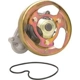 Purchase Top-Quality New Water Pump by DAYCO - DP1249 pa2