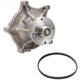 Purchase Top-Quality New Water Pump by DAYCO - DP1309 pa3