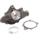Purchase Top-Quality New Water Pump by DAYCO - DP1312 pa4